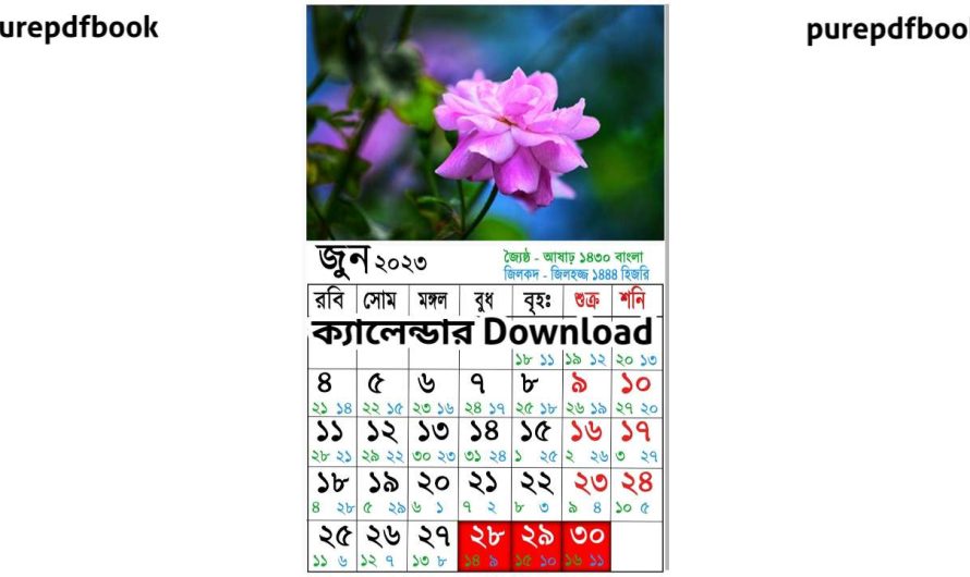Bangla English Arabic Calendar 2023 PDF Download | Bengali Panjika 2023-2024 | বাংলা ক্যালেন্ডার ডাউনলোড